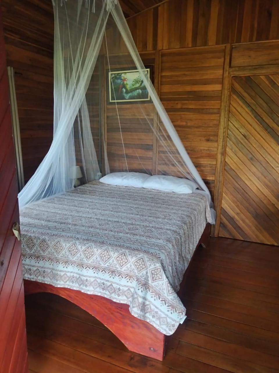Cabanas Los Laguitos Rio Celeste El Achiote Exterior photo