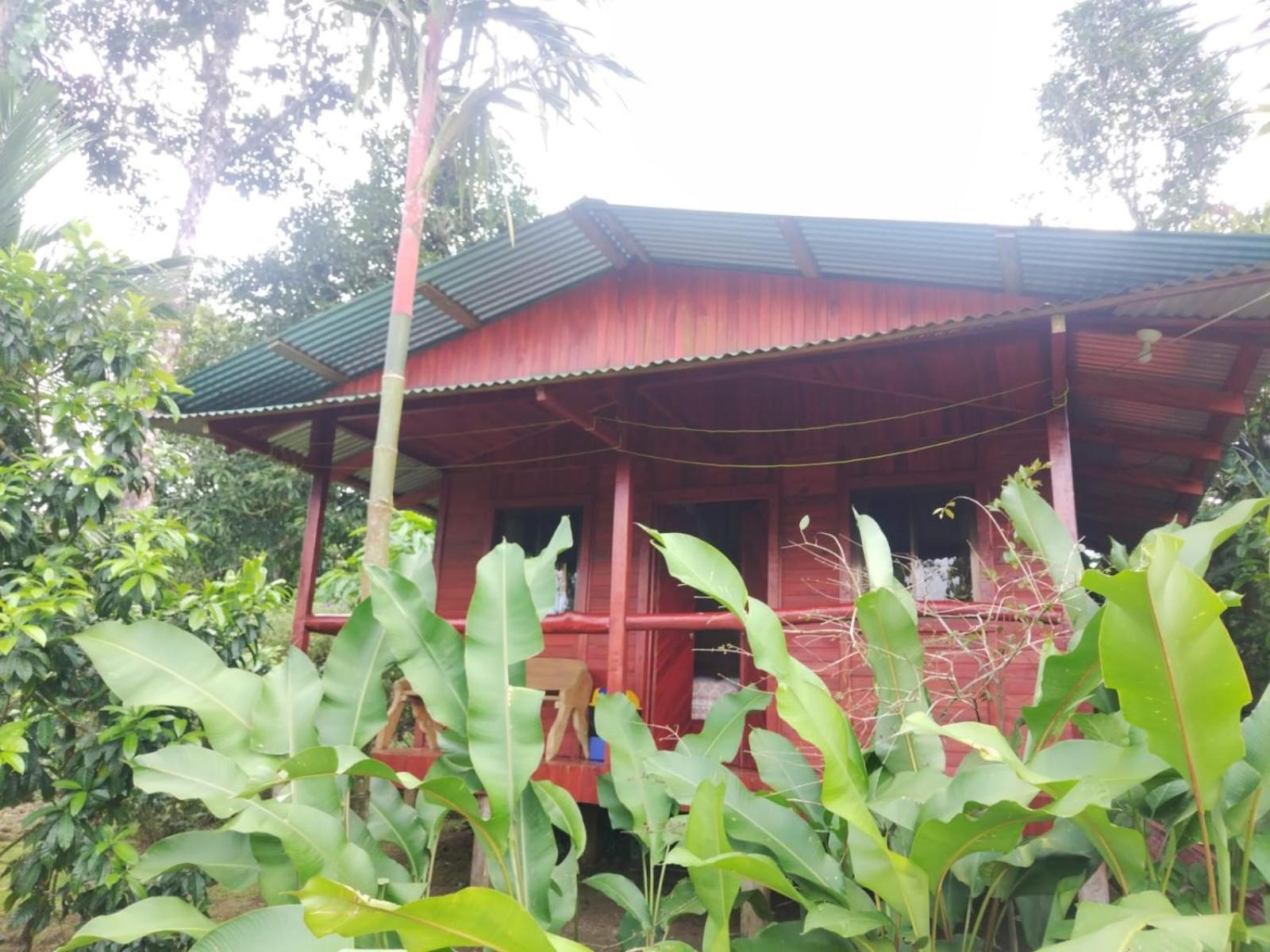 Cabanas Los Laguitos Rio Celeste El Achiote Exterior photo