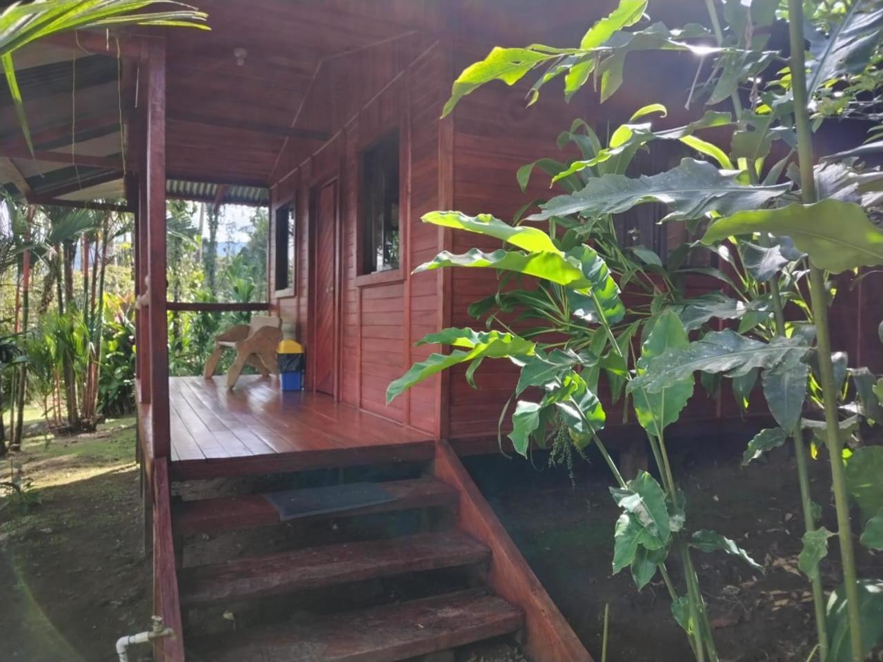 Cabanas Los Laguitos Rio Celeste El Achiote Exterior photo